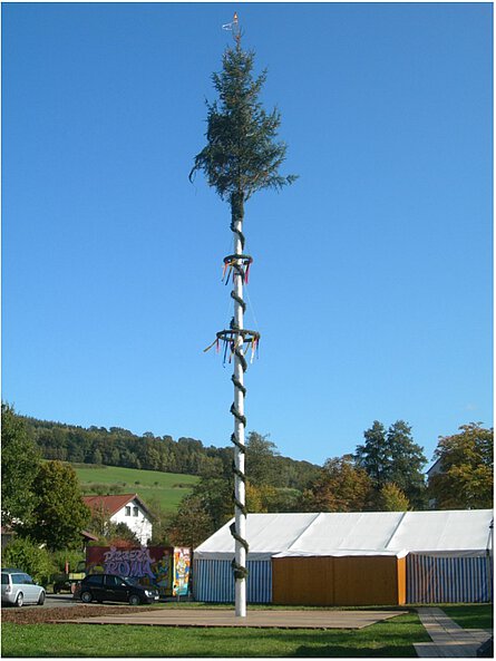 Kirmesbaum 2009 Kirmesbaum der Zeltkirmes 2009 zum 20 jährigen Jubiläum